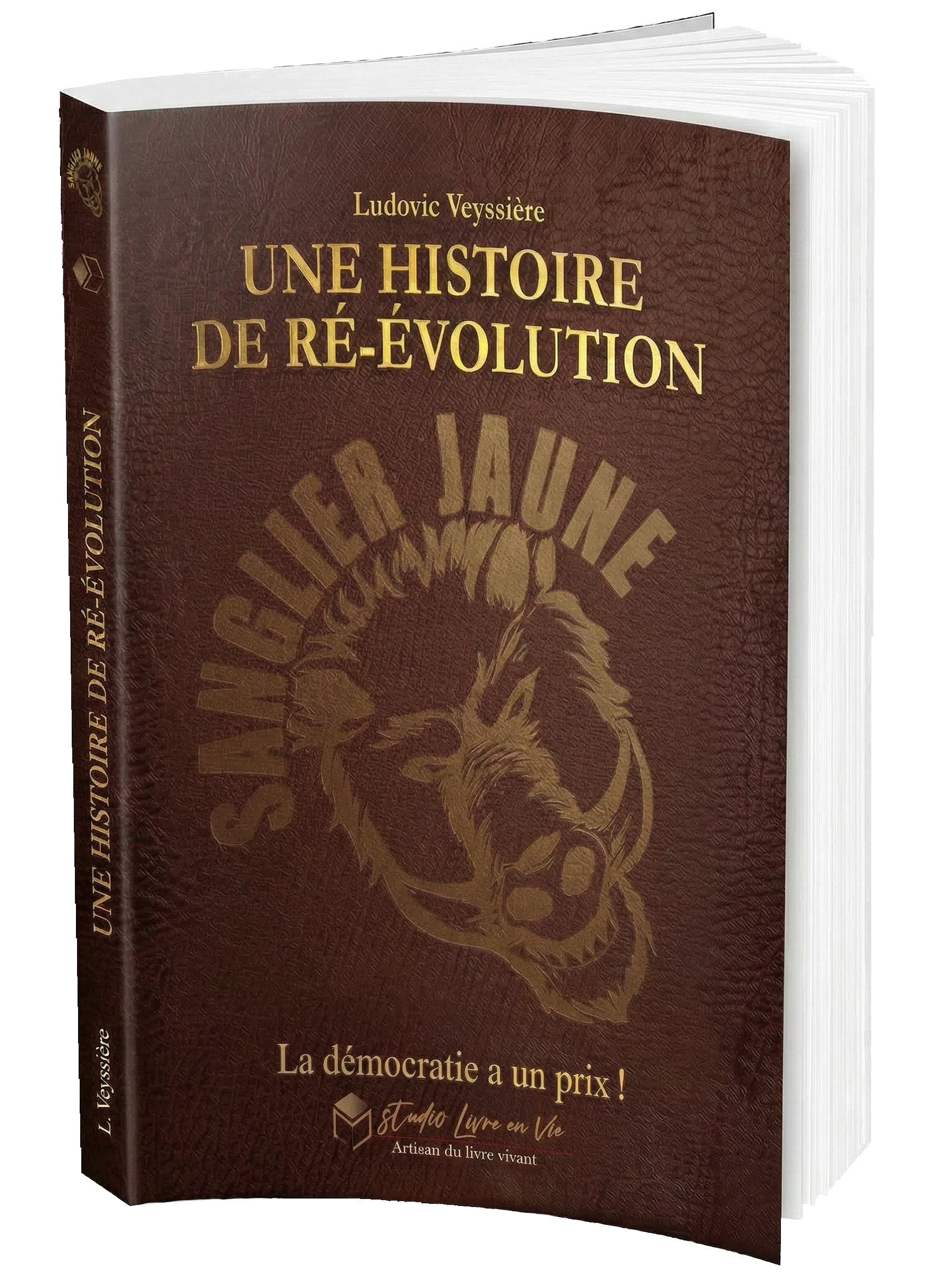 Une histoire de ré-évolution Le livre